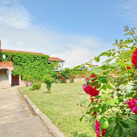 Apartmani Maca Sikovo ภายนอก รูปภาพ