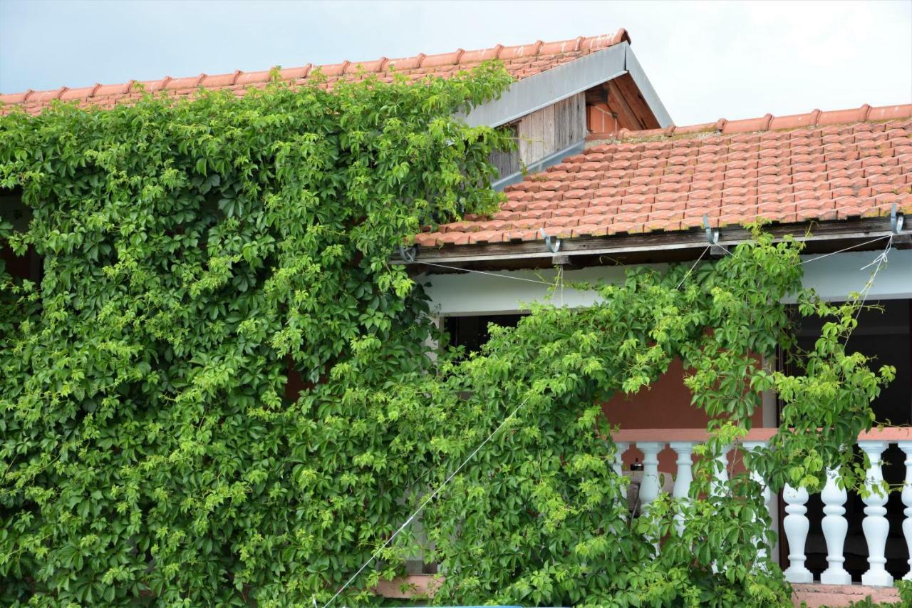 Apartmani Maca Sikovo ภายนอก รูปภาพ